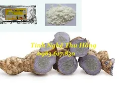 Công dụng của nghệ đen đối với BỆNH DẠ DÀY