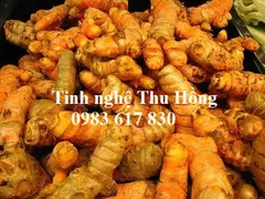 Tác dụng của củ NGHỆ VÀNG trong đời sống hàng ngày