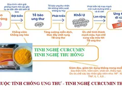 Tinh nghệ Curcumin Tinh bột nghệ Thu Hồng chất huỷ diệt tế bào ung thư loại mạnh nhất