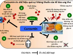 Uống tinh bột nghệ kịp thời giúp chữa khỏi ung thư tuyến tuỵ và Thiên tài Steve Jobs có thể vẫn sống