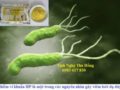 Viêm hang vị dạ dày