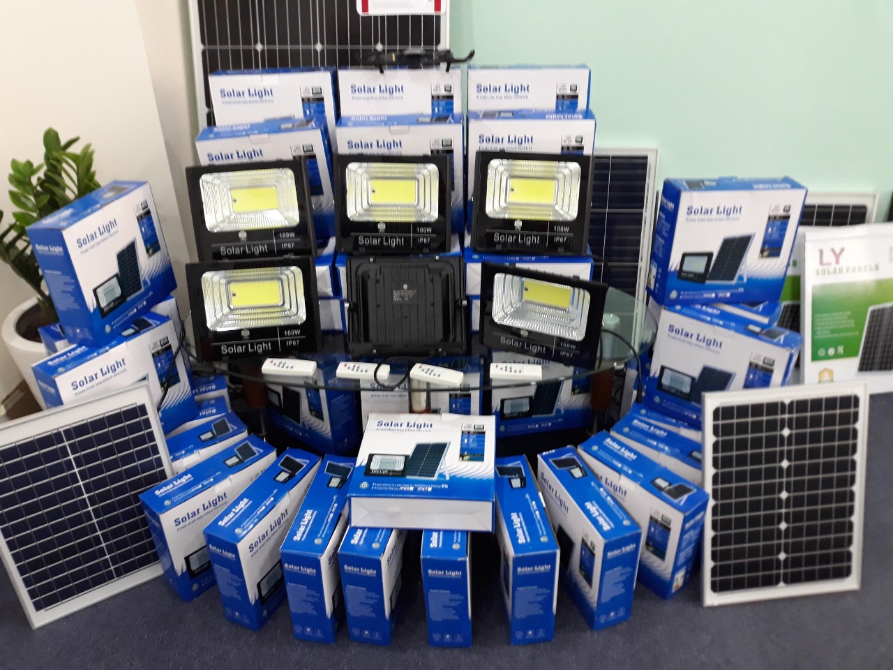 tinhoclyvystar.com tinhoclyvystar.com