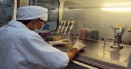 Xưởng sản xuất tinh bột nghệ Thu Hồng