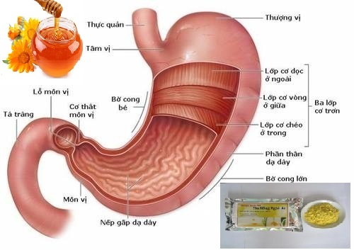 Tác dụng của củ nghệ vàng Tác dụng của củ nghệ vàng