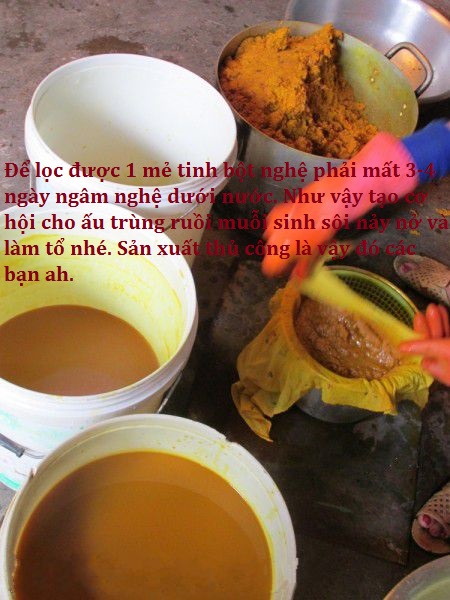 Tinh bột nghệ giá rẻ được sản xuất rất mất vệ sinh - ảnh hưởng đến sức khoẻ