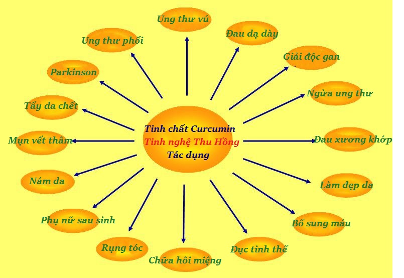 Tinh bột nghệ curcumin ngăn chặn tế bào ung thư hiệu quả nhất Tinh bột nghệ curcumin ngăn chặn tế bào ung thư hiệu quả nhất