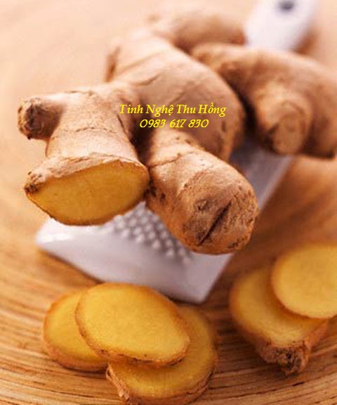 Củ nghệ vàng chữa bệnh Củ nghệ vàng chữa bệnh