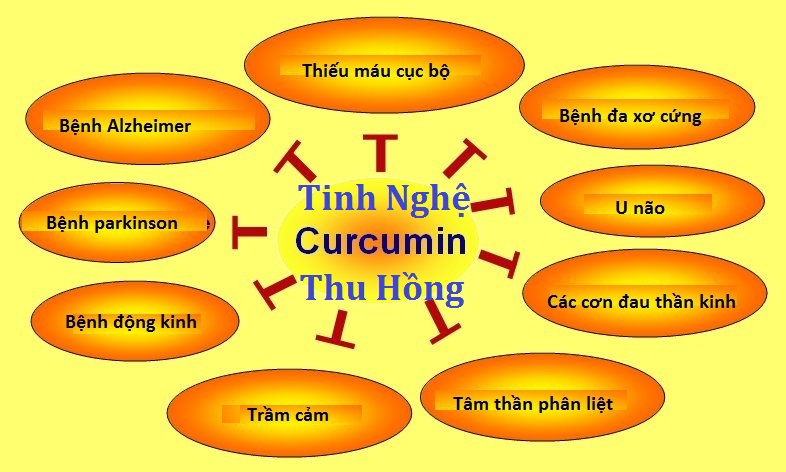 Curcumin là thành phần tốt nhất bên trong củ nghệ vàng Curcumin là thành phần tốt nhất bên trong củ nghệ vàng