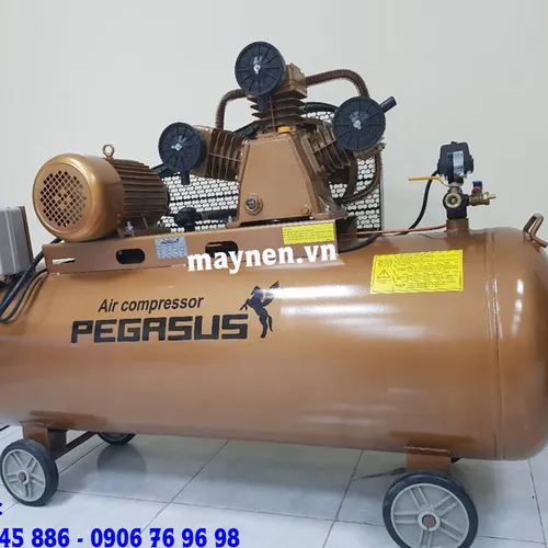 Máy Nén Khí PEGASUS TM-W-2.0/8-500L(380V)