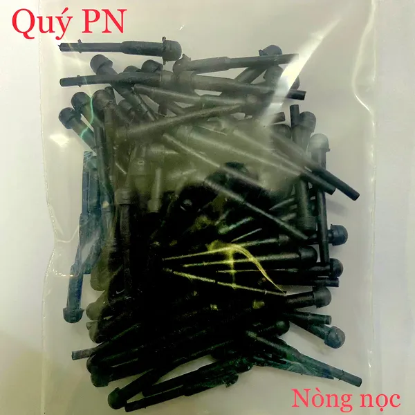 Nòng nọc đệm kéo