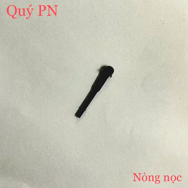 Nòng nọc đệm kéo