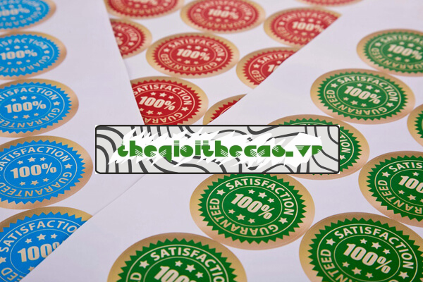 Chấn Trần - đơn vị cung cấp dịch vụ cắt bế demi uy tín và chất lượng Chấn Trần - đơn vị cung cấp dịch vụ cắt bế demi uy tín và chất lượng