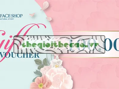 Những điều cần biết khi in thẻ voucher