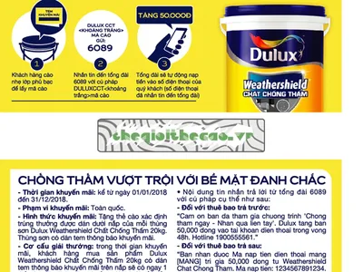 Cách lựa chọn miếng dán phủ cào tốt nhất