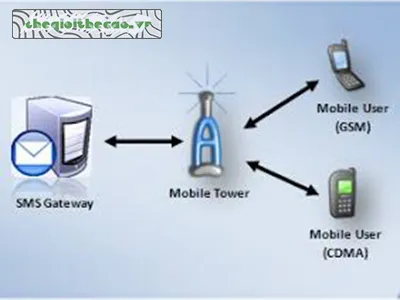 TỔNG ĐÀI SMS