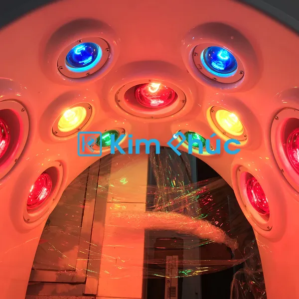 Vòm Giảm Béo Hồng Ngoại WS-5008A