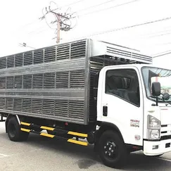 Xe tải isuzu 5 tấn thùng 6,2m NQR75LE4