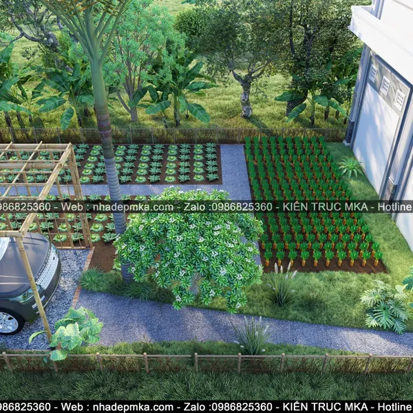 Thiết kế thi công Farm Stay nuôi yến - Tây Ninh