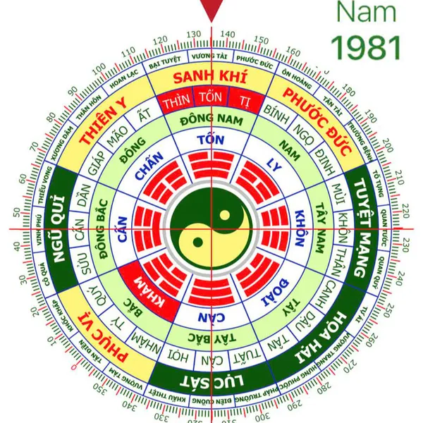 PHONG THỦY NAM 1981