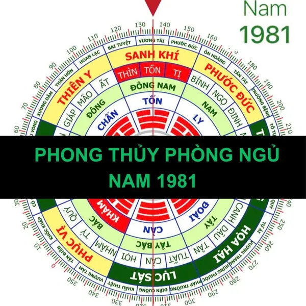 HƯỚNG PHÒNG NGỦ PHONG THỦY NAM 1981