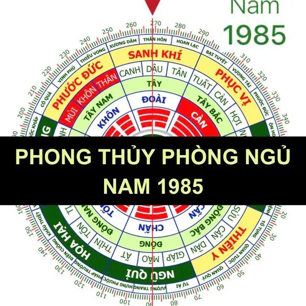 Phong thủy phòng ngủ nam 1985