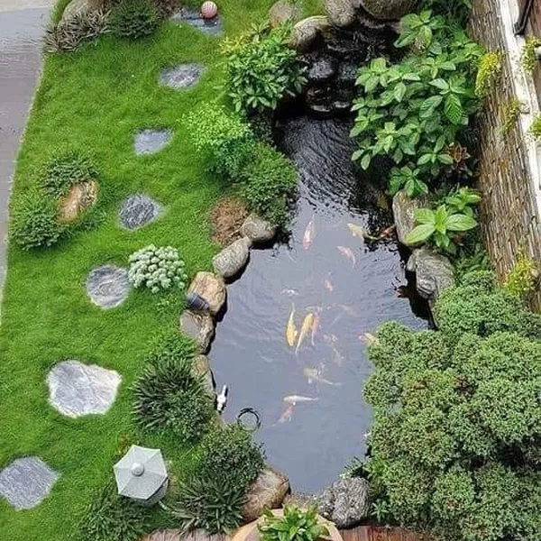 Thiết Kế -Thi Công Hồ Koi Đồng Nai