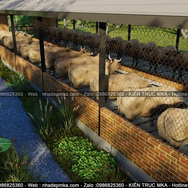 Thiết kế thi công Farm Stay nuôi bò - Tây Ninh