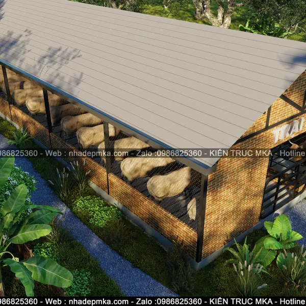 Thiết kế thi công Farm Stay nuôi bò - Tây Ninh