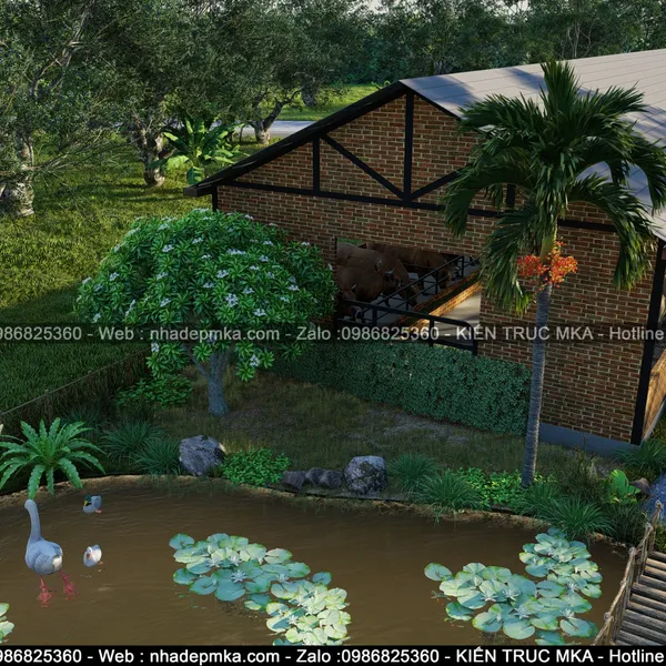 Thiết kế thi công Farm Stay nuôi bò - Tây Ninh