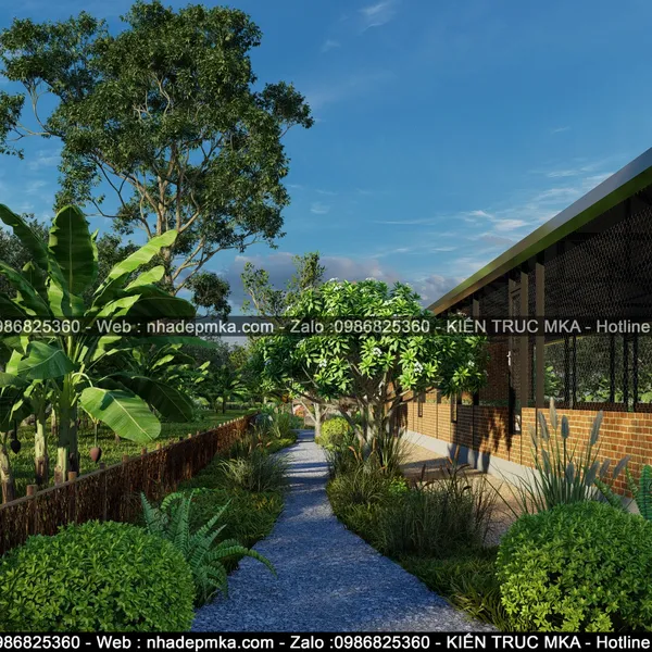 Thiết kế thi công Farm Stay nuôi gà - Tây Ninh