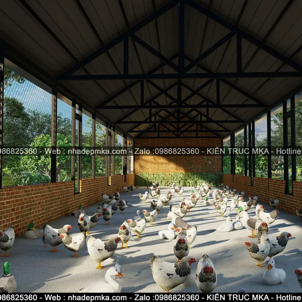 Thiết kế thi công Farm Stay nuôi gà - Tây Ninh