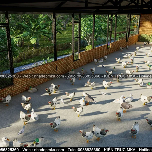 Thiết kế thi công Farm Stay nuôi gà - Tây Ninh
