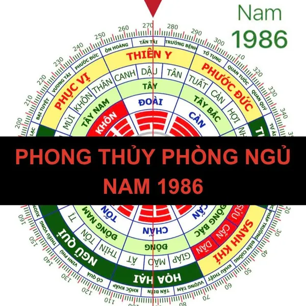 Phong Thủy Phòng Ngủ Cho Nam Giới Sinh Năm 1986 (Bính Dần)