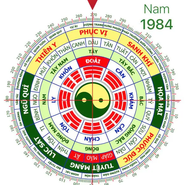 giải mã Phong thủy nam 1984