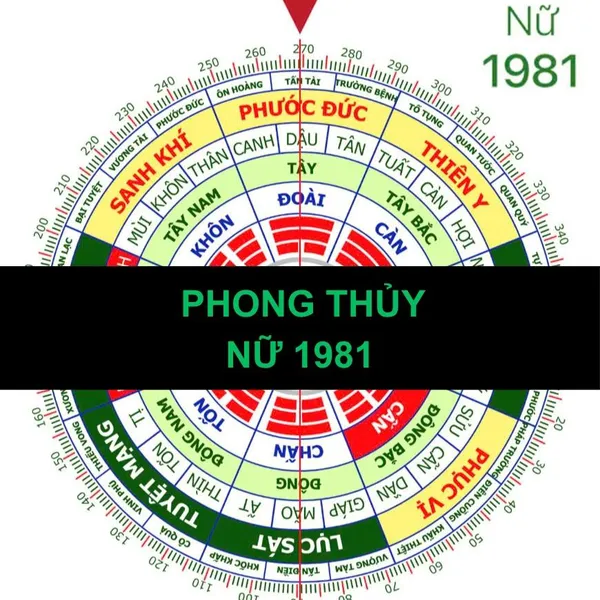 PHONG THỦY CHO NỮ TÂN DẬU 1981