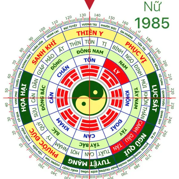 Phong Thủy Cho Nữ Giới Sinh Năm 1985 (Ất Sửu)