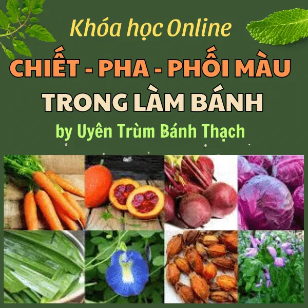 Khóa học "CHIẾT - PHA - PHỐI MÀU TỰ NHIÊN VÀ THỰC PHẨM TRONG LÀM BÁNH RAU CÂU"