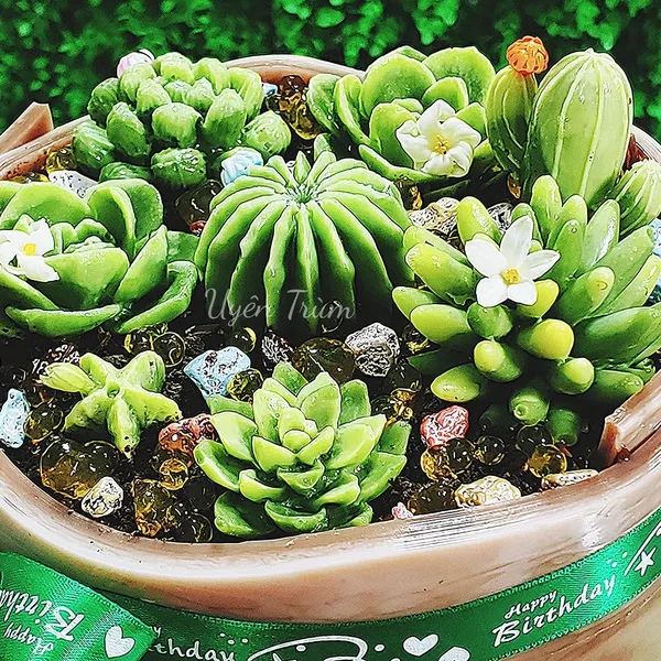 Lớp Rau Câu Nổi 4D Kinh Doanh Tổng Hợp