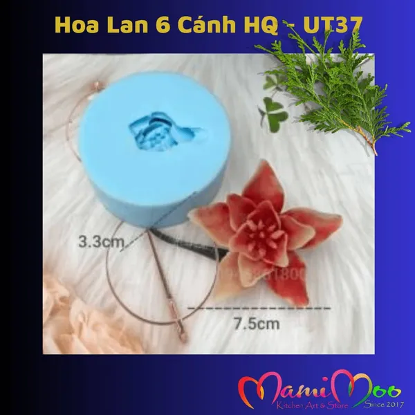Khuôn Silicon Hoa Lan 6 Cánh HQ - UT37