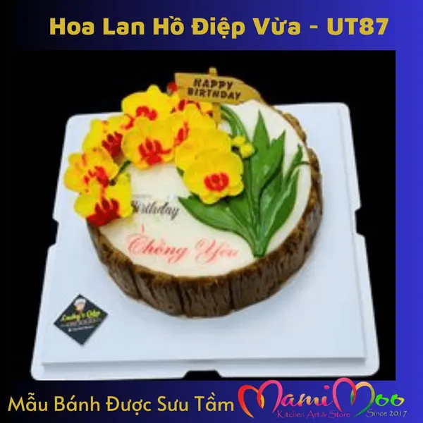 Khuôn Silicon Hoa Lan Hồ Điệp Vừa - UT87