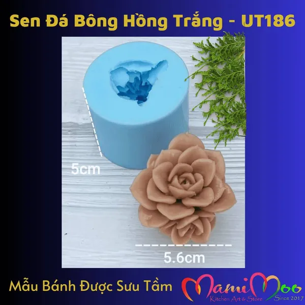 Khuôn Silicon Sen Đá Bông Hồng Trắng - UT186