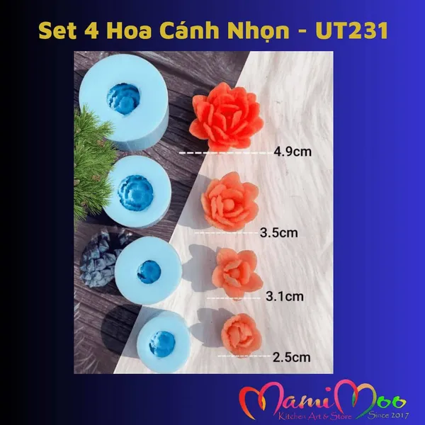 Khuôn Silicon Set 4 Hoa Cánh Nhọn Thái - UT231