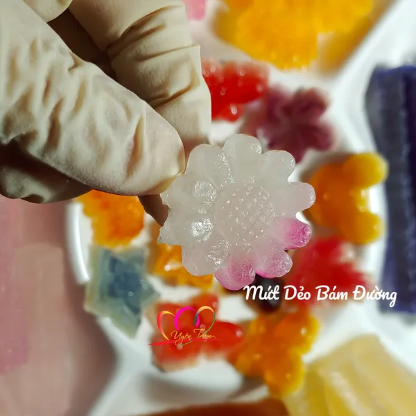 Lớp Mứt Kẹo Rau Câu Trái Cây