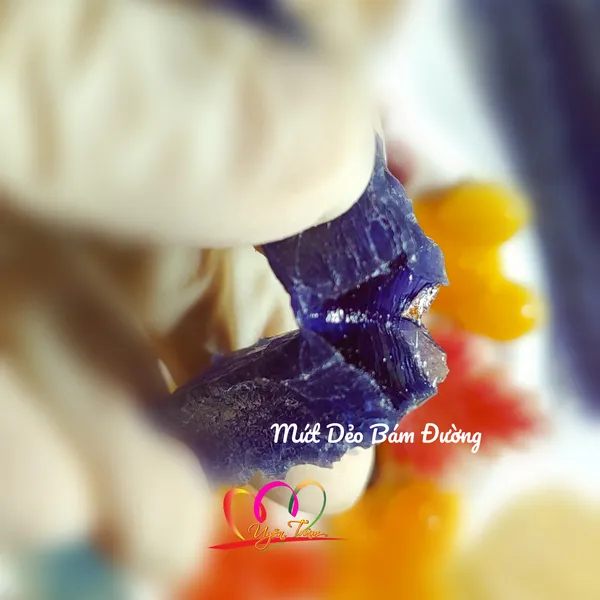 Lớp Mứt Kẹo Rau Câu Trái Cây