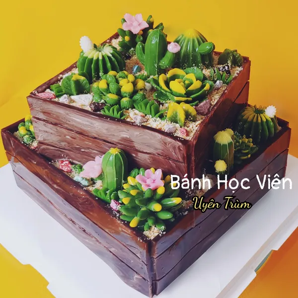 Bánh Rau Câu 4D Xương Rồng 2 Tầng 7 Kg