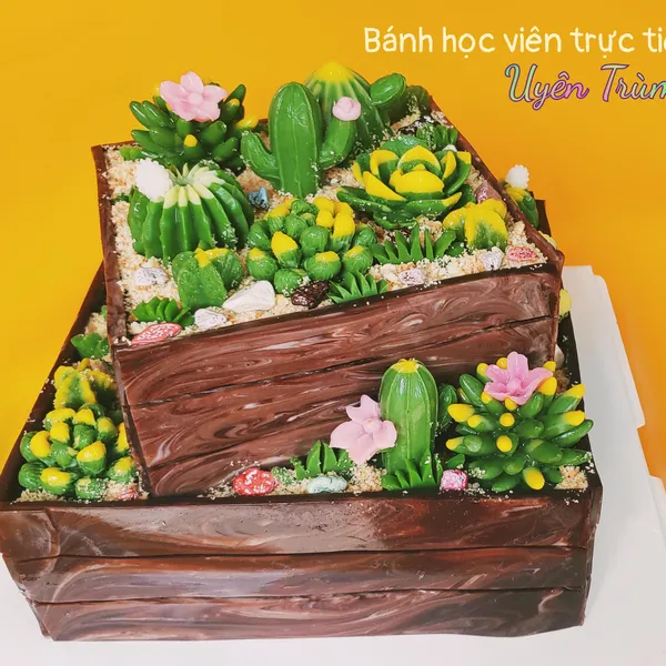 Bánh Rau Câu 4D Xương Rồng 2 Tầng 7 Kg