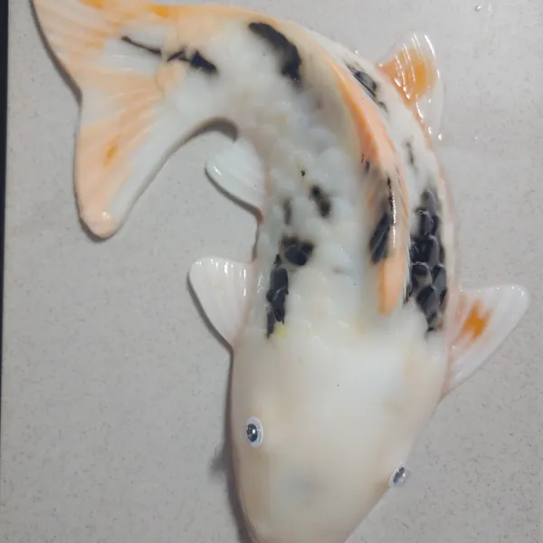 Lớp Rau Câu Cá Chép Koi Nâng Cao Nhân Kem