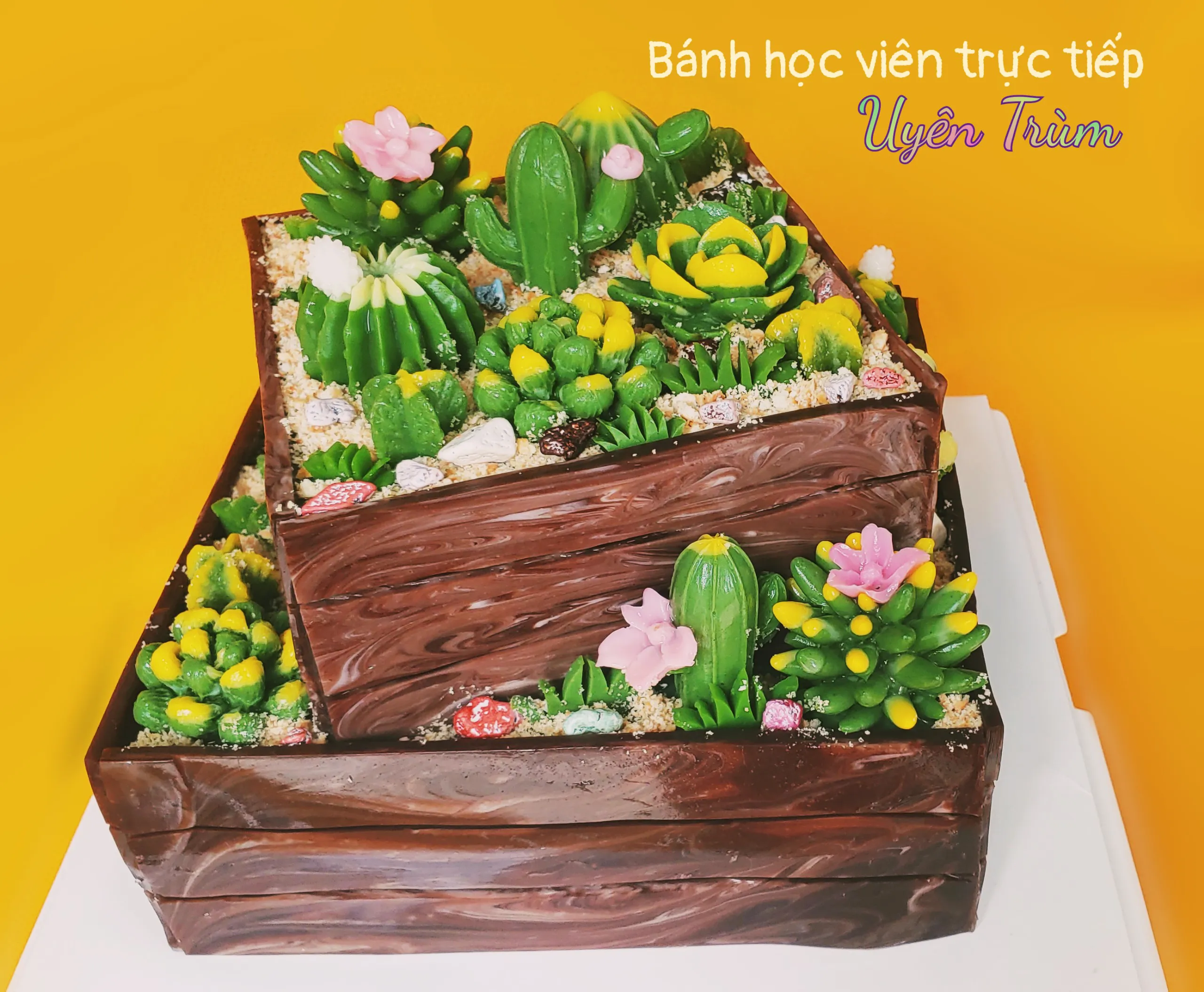 BSNHD42 - Bánh sinh nhật Matcha ngọt ngào sz16 - Tokyo Gateaux - Đặt bánh  lấy ngay tại Hà Nội