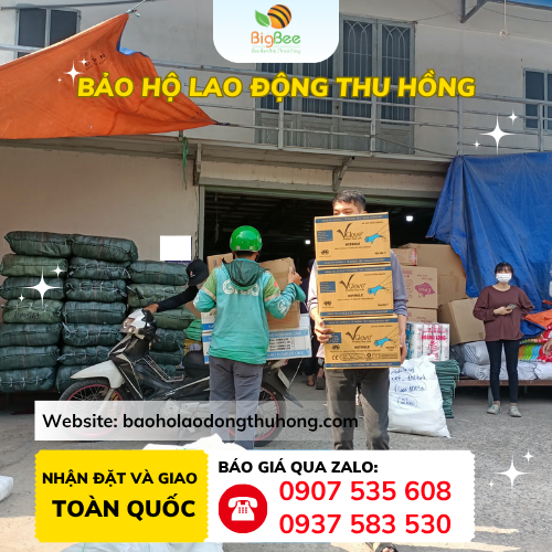 Giao hàng 20 thùng găng tay y tế Vglove Nitrile 20 thùng găng tay y tế Vglove Nitrile giao sỉ tận nơi cho khách