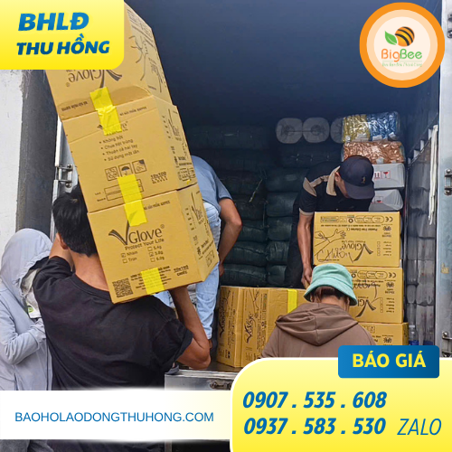 50 thùng găng tay y tế Vglove không bột giá sỉ rẻ xuất tại kho TPHCM 50 thùng găng tay y tế Vglove không bột giá sỉ rẻ xuất tại kho TPHCM